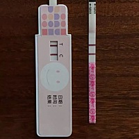 三天后回自己家了，柚子提示大姨妈推迟一天，心里开始犯嘀咕，有点小着急，纠结究竟测不测一下，测了怕...