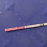 八号排卵，今天的金秀儿排卵试纸阳