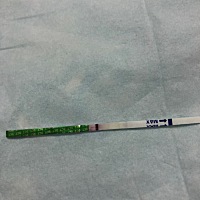 天，眼花了吗？ 怎么是这个样子