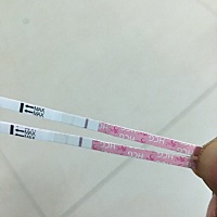 3.8末次，昨天开始查，眼睛都看瞎了，上面是昨天查的，下面是今天查的，都是晨尿，不知道能不能抓住猪尾...