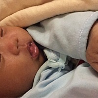 吃饱就睡，还爱伸懒腰，😄😄