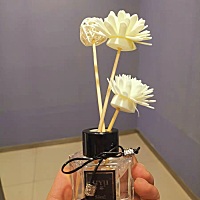 刚去厕所才发现这个的，一问，才知道是婆婆在网上花五块钱买的熏灯！爱干净的她，不愿意厕所有任何异味...