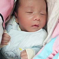 有一个人带双胞胎的吗？