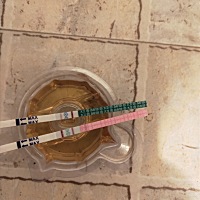 三月十七的月事，粉的是测排卵的，绿的是测怀孕的，怎么两个都能测出来两条红线。