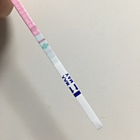 这个排卵试纸试什么意思？