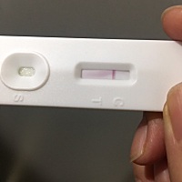 末次3.12月经，现在没来月经，前几天有一点点血，今天测这样的