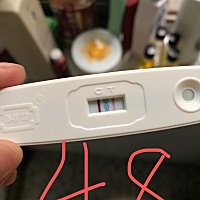 请大家帮我看看 有说怀孕的 有说没怀的