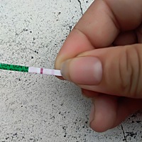 亲们，帮我看看是不是有了