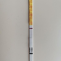 月经推迟一周了，但是测秀儿早早孕试纸还是一个杠，没怀孕，为什么？