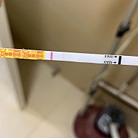 麻烦各位看看 这是早上 下午和晚上分别三次测的……是怀孕了么