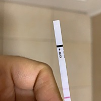 有经验的朋友帮我看下是不是怀孕了？因为一直多囊都已经放弃了