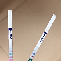 推迟第27天，测又测不出来 宝宝不来，姨妈你好歹也来一下吖[汗]两个都不来，闹哪样嘛，排卵纸一直处于弱...