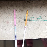 大家帮我看看 这昨天安排了。今天还要安排吗。为什么金秀儿强阳 大卫还没有强阳呢