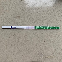 我是上月11号，今天还没来，我刚刚就测了一下，这是中奖了吧？