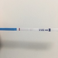 3月19号末次月经，这是白板吧，有没有一样月经的小伙伴已经知道怀孕的呢？