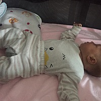 白天的恶魔宝宝，晚上的天使宝宝。白天老抱着才能睡，晚上自己在床上玩会儿就睡了，一觉五六个小时。