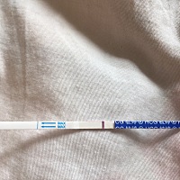 4.4号排卵，帮我看看，现在怀疑自己眼睛有问题，要不然就想试纸有没有问题，