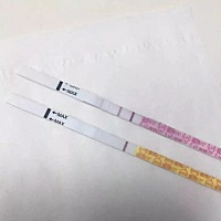 昨天下午5:30急急忙忙跑回家，临下班憋的尿，都没舍得尿。金秀儿排卵试纸强阳。早孕弱阳。分开测试的