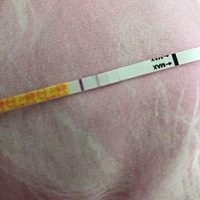 好像真的怀上了耶 恭喜我吧