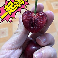 大连大樱桃，六月等你