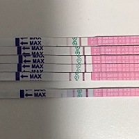 前天接近强阳同房了一次（估算着第二天排卵弱阳的)，昨天晚上也测了一次又是强阳的样子，打算昨晚再做一...