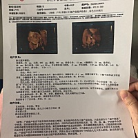 四维已过，好奇男宝女宝😅😅