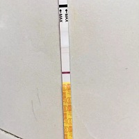 月经一直都很正常，这次竟然推迟 15天，又丝毫没有大姨妈要来了的迹象，这段时间没事就测一下，刚用金秀...