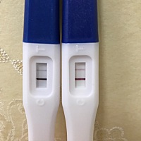 3.31日排卵，这是中了吗？ H