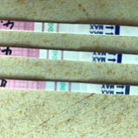 有3月29号姨妈的吗？我这是强阳2天了，都有安排，不知道能不能怀上