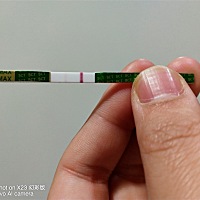 大家看看这个好孕了吗