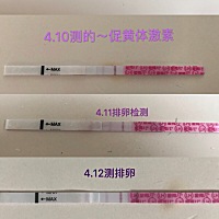排卵检测，我就每天早起测一下，感觉两杠很明显了，4.11和4.12都有同房、宝妈们看看希望大不大？？