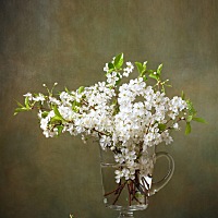 今天39周了，求宝宝发动，伪娘实在太累了