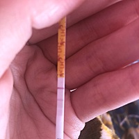 这是排卵了吗，怎么一深一浅呢