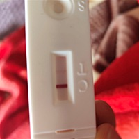 我也不知道这是不是怀了 这么浅的一条印