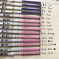 昨晚，今早都有安排，今晚还需要再安排吗？