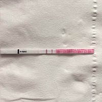 圈里有4月4号排卵测出早孕的吗