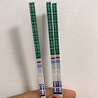 猪的尾巴还有机会吗 距离大姨妈还有12天