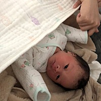 报喜了，昨天晚上8点25成功卸货一只小公猪仔，6.5斤，顺产，有侧切！