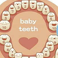 Baby乳牙萌出顺序。 父母们收藏一哈！ ​