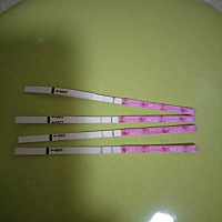 20号金秀儿半定量上午峰值,下午转淡,B超下午看也是没有卵泡了,19晚上还有.所以是20排的卵。6月份生化过...