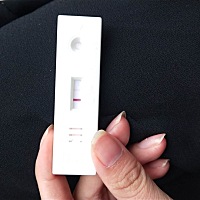 上个月3月17号来的 月经这3个月都很正常 然后昨天和今天测试了一下都是一条深一条浅 不知道是不是有了 ...