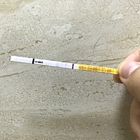 这算有了吗？今早去医院验血 得明天下午才知道结果