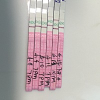 4月11日有拉丝白带，但没有显示强阳，4月13日显示强阳，但没白带，所以很好奇到底有没有排卵，哪天排的