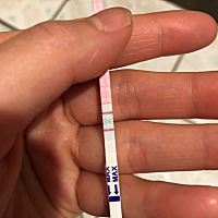 今天的排卵日。哈哈哈哈哈哈哈，好心情