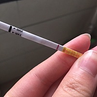 排卵第八天，这是有了吗，排卵试纸也是弱阳