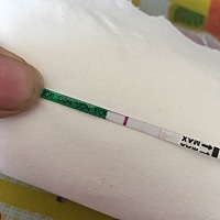 能看到吗   有怀孕的可能吗