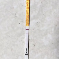 备孕半年了，一直不怀，玩尿都玩腻了，这个月又开始测排卵。软件上说是6号排卵，7号金秀儿半定量峰值, ...