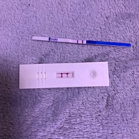 这个是怀孕了嘛 上个月14号的大姨妈