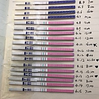 12号强阳后来转弱，这都弱阳三天了，是什么情况？