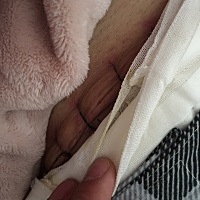 真羡慕有些宝妈，还有亲妈，婆婆待自己像女儿一样的幸福女人，可惜，我的婆婆是自己闺女的孩子是闺女的...